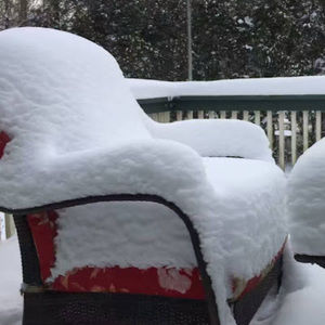 Meet your Posher, Leah